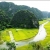 Hoa Lu - Tam Coc 01 Day trip